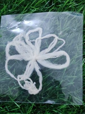 Thamarai Thandu Thiri