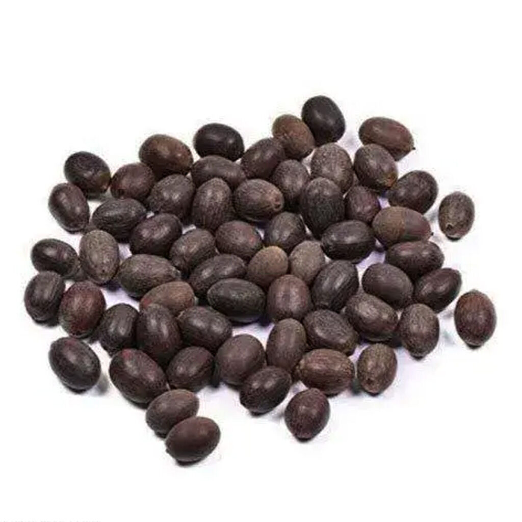 Lotus Seeds [15 Nos]