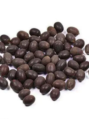 Lotus Seeds [15 Nos]