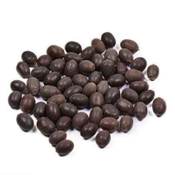 Lotus Seeds [15 Nos]