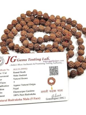 Rudraksha Maala 108 Beads Original with Certificate [8mm]