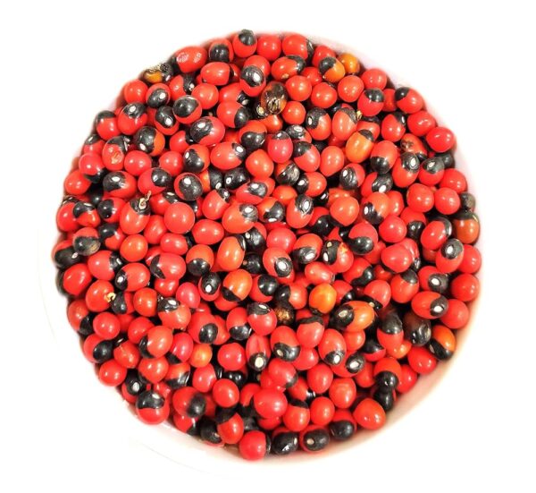 Red Gunja Seeds [100g]