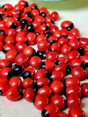 Red Gunja Seeds [2 kg] – Traditional Sacred Seeds for Pooja, Vastu & Ritual Use