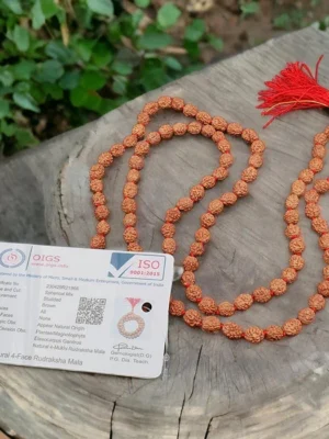 Rudraksha Mala [6mm] [108 Beads] [Certified] – Sacred Japa Mala for Spiritual Growth, Protection & Peace